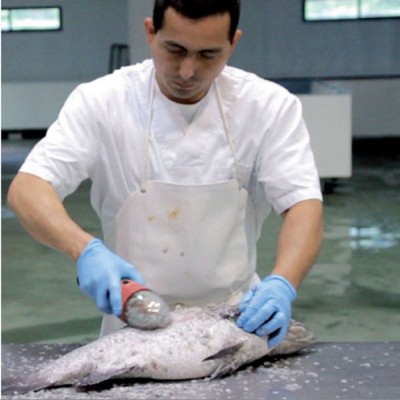 Rechargeable Electric Scraping Fish Scales Machine Kitchen Scaling Fish Tool Cordless Powerful Fishing Scaler